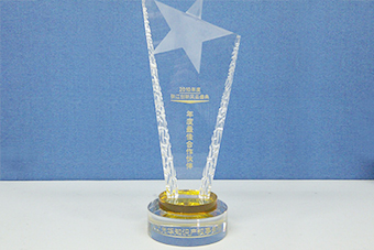 2010年度最佳合作伙伴獎杯