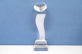 2009年度最具潛力公司獎杯